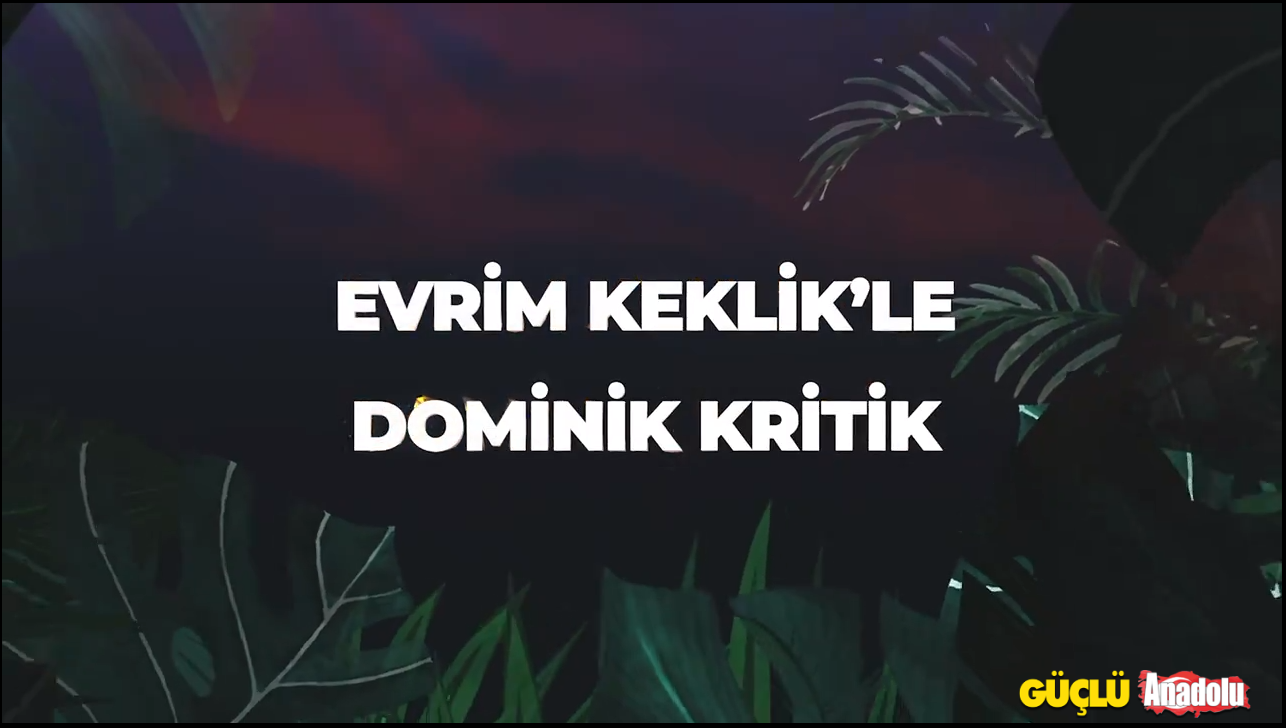 Dominik Kritik programı başlıyor!